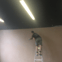 D and K Plastering and Building Services