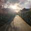 Sw Gardens & Landscapes