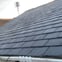 Northwest pearl wall coatings